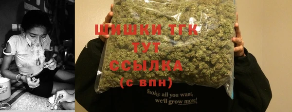 шишки Краснотурьинск