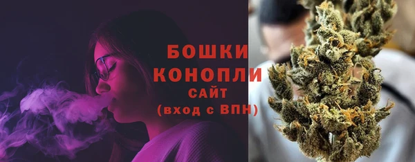 шишки Краснотурьинск