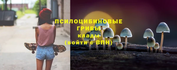 шишки Краснотурьинск